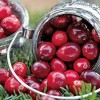 819115-cranberry-stevens