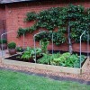 845235-onderdeel-verhoogd-plantenbed-tentkoepel-houten-plantenbed-g123
