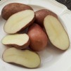 406570-aardappels-uach-918