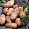 407490-aardappels-kerpondy