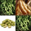 044110-sojaboon-siverka