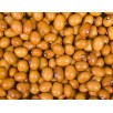 044990-droogbonen-stam-bruine-kogelboon