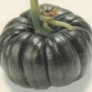213370-pompoenen-bizen-chirimen-yokohama-churimen