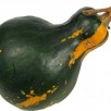 213970-pompoenen-hopi-black-green
