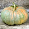 213985-pompoenen-iran
