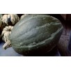 215020-pompoenen-olive-verte