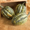 215291-pompoenen-starry-night-f1