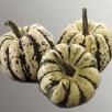 215500-pompoenen-sweet-dumpling-patidou