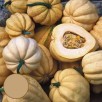 215890-pompoenen-thelma-sanders-sweet-potato