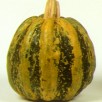 216070-pompoenen-tonda-padana-americana-tonda