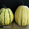 216150-pompoenen-tycoon-f1