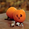 216420-pompoenen-wee-little-weeblittle