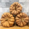 216470-pompoenen-yuxijiangbinggua