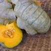 216700-pompoenen-zucca-berrettina-piacentina