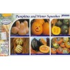 217000-pompoenen-collectie-van-rassen