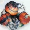 515260-cucurbita-maxima-bischofsmutze-fungo