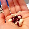 045170-droogbonen-stok-frost-bean-pea-bean-zuikerboon