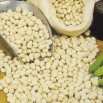 045390-droogbonen-stam-stamslabonen-witte-eiboon-blanc-grain-rond-coco-blanc-cocco-bianco-white-cherry-white-canterbury-lazy-housewife