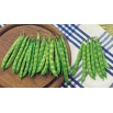 048310-stokslabonen-overvloed-type-rentegever-rentegevers-perle-sucre-sugar-pearl-perfection-zuckerperl-prinzess