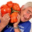 295414-vleestomaat-gigante-pomodoro-xxl