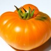 295473-vleestomaat-persimmon