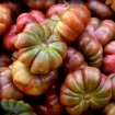 295475-vleestomaat-purple-calabash