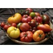 295909-heirloom-collectie-schaarse-varieteiten