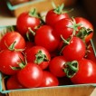 291803-kerstomaat-the-early-cherry