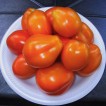 291995-roma-tomaat-roughwood-golden-plum