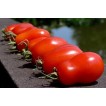 292010-roma-tomaat-san-marzano-nano