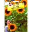 524260-helianthus-annuus-king-kong