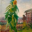 524415-helianthus-annuus-pike-peak