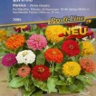 561580-zinnia-elegans-musica