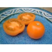 293770-middenmaat-tomaat-tangella-orange-favourite