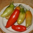 293780-middenmaat-tomaat-tegucigalpa