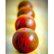 293795-middenmaat-tomaat-tiger-tiger-striped