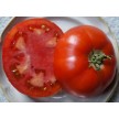 294990-vleestomaat-apple-novi-sad-novosadski-jabuchar