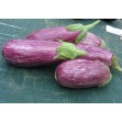 015180-aubergine-listada-gandia