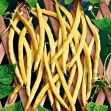 048380-stokspekbonen-neckargold
