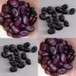 049850-tuinbonen-black-russian