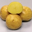 405260-aardappels-magic-plate
