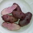 406553-aardappels-sudamerikanischer-fingerling-absaat
