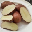 406570-aardappels-uach-918