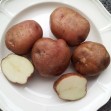406589-aardappels-weltwunder-maikonig