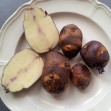 407190-aardappels-colegiala