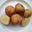407335-aardappels-edelgard
