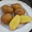 407640-aardappels-lerche