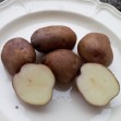 407770-aardappels-punane-saarlane