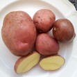 407890-aardappels-red-algonquin