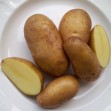408711-aardappels-sarpo-kifli